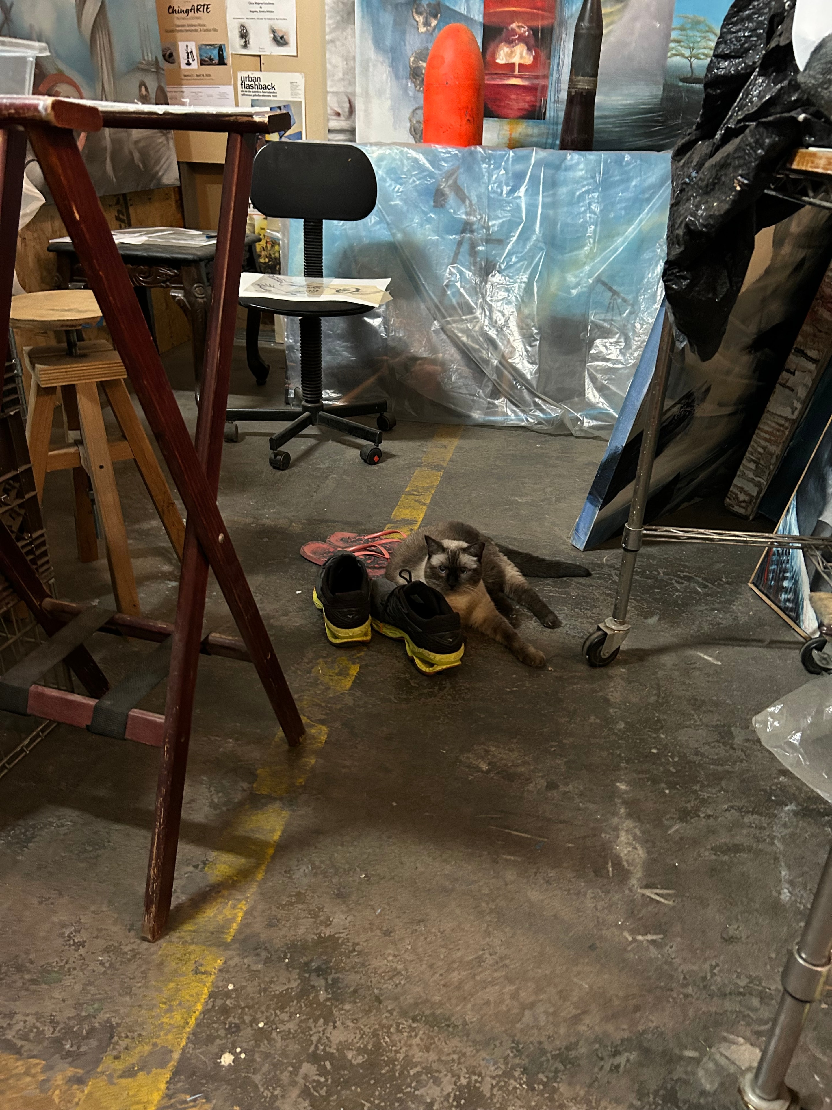 Kitty in the Studio — The studio cat surveys the workspace from her perch, overseeing the work in progress on the 6th floor of the Clock Tower.